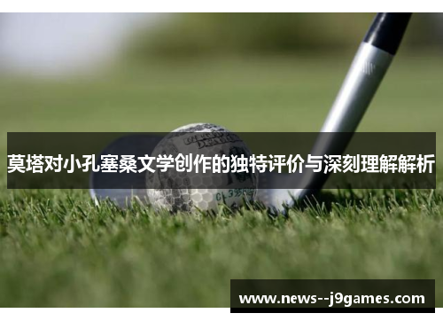 莫塔对小孔塞桑文学创作的独特评价与深刻理解解析